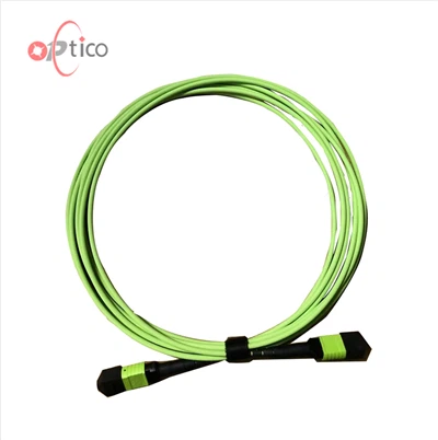 Kabel magistralny 12F MTP MPO OM5